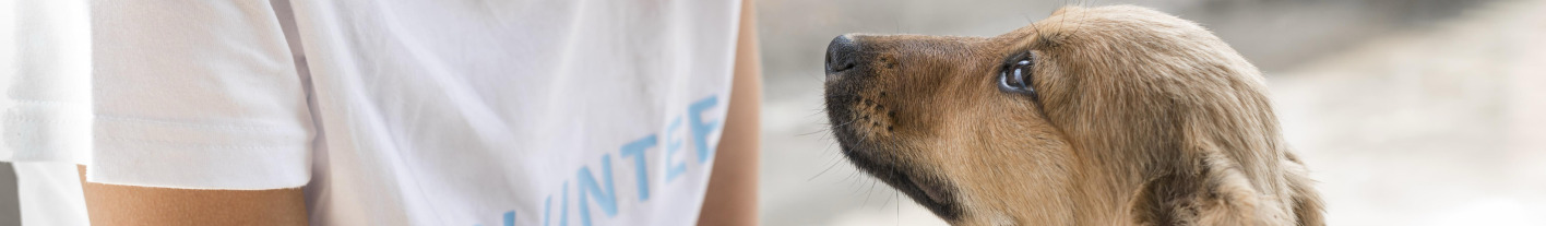 breadcrumb-background