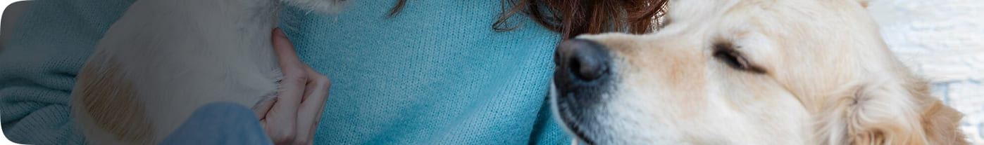 breadcrumb-background